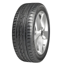 225/55 R17 101W 