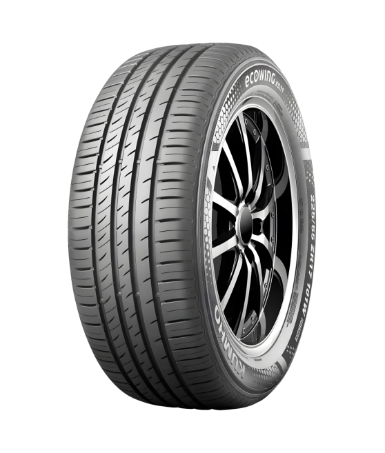 EcoWing ES31